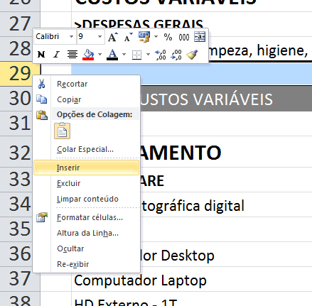 art_hora_tecnica_como_inserir_dados