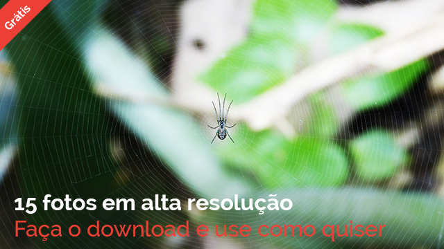 art_1000_Seguidores_Behance_photo_Blog