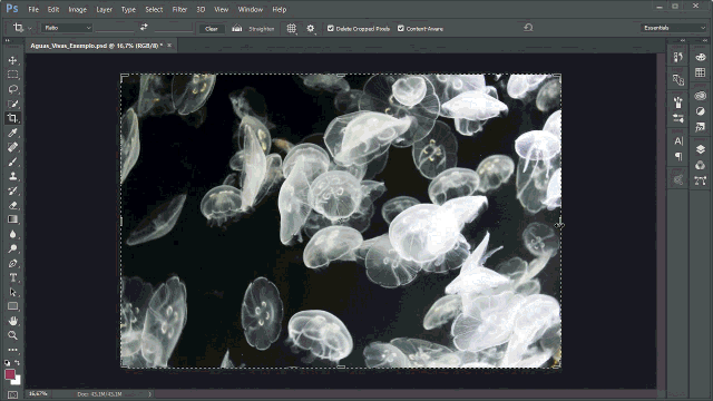 Novidades_PS_20155_Content_Aware_Crop_Transcricao_Img_09